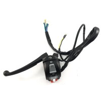 LENKER SCHALTER EINHEIT R&L z.B.für BAOTIAN BT49QT-9 u.a.