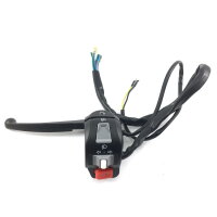 LENKER SCHALTER EINHEIT R&L z.B.für BAOTIAN BT49QT-9 u.a.