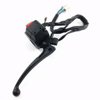 LENKER SCHALTER EINHEIT R&L z.B.für BAOTIAN BT49QT-9 u.a.