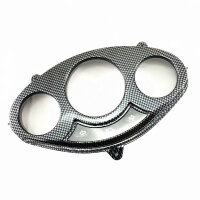 1a - Tachoglas Carbon Look (BT125T-12E3)