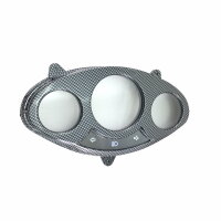 1a - Tachoglas Carbon Look (BT125T-12E3)
