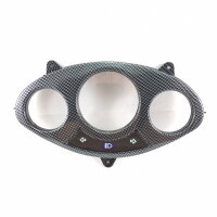 1a - Tachoglas Carbon Look (BT125T-12E3)