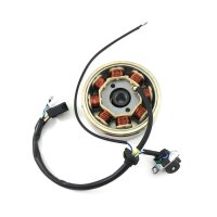 EURO 4 Stator  & Rotor Lichtmaschine komplett GY6...