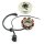 EURO 4 Stator  & Rotor Lichtmaschine komplett GY6 4Takt - 8 Spulen 45 km/h