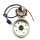 EURO 4 Stator  & Rotor Lichtmaschine komplett GY6 4Takt - 8 Spulen 45 km/h
