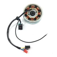 EURO 4 Stator  & Rotor Lichtmaschine komplett GY6 4Takt - 8 Spulen 25 km/h