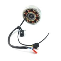 EURO 4 Stator  & Rotor Lichtmaschine komplett GY6 4Takt - 8 Spulen 25 km/h