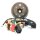 EURO 4 Stator  & Rotor Lichtmaschine komplett GY6 4Takt - 8 Spulen 25 km/h