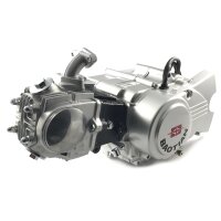 Motor 139FMA, 1Zylinder 4-Takt, 48ccm