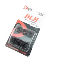 6,0gr. DLH Racing-Variorollen Set 16x13