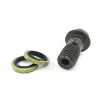 Bremsleitungs Anschlussschraube und 2x Dichtung