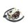 LICHTMASCHINE Stator 11 Spulen für BAOTIAN BENZHOU FLEX TECH REX YY125 QM125 BT125 GY6 4-TAKT