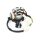 LICHTMASCHINE Stator 11 Spulen für BAOTIAN BENZHOU FLEX TECH REX YY125 QM125 BT125 GY6 4-TAKT