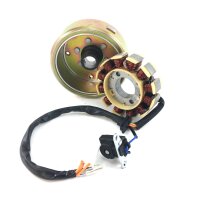 LICHTMASCHINE KOMPLETT - 125ccm12 Spulen für ZNEN BAOTIAN BENZHOU FLEX TECH REX GY6 4TAKT