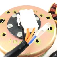 LICHTMASCHINE KOMPLETT - 125ccm12 Spulen für ZNEN BAOTIAN BENZHOU FLEX TECH REX GY6 4TAKT