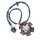 Lichtmaschinen Stator kompatibel für Peugeot stehend AC/LC