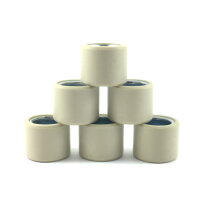 VARIO ROLLEN GEWICHTE 16x13 VARIOMATIK für REX...