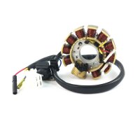 LICHTMASCHINE Stator 11 Spulen für BAOTIAN BENZHOU...