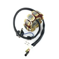 LICHTMASCHINE Stator 11 Spulen für BAOTIAN BENZHOU FLEX TECH REX GY6 4-TAKT