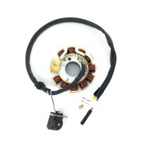 LICHTMASCHINE Stator 11 Spulen für BAOTIAN BENZHOU FLEX TECH REX GY6 4-TAKT