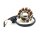 LICHTMASCHINE Stator 11 Spulen für BAOTIAN BENZHOU FLEX TECH REX GY6 4-TAKT