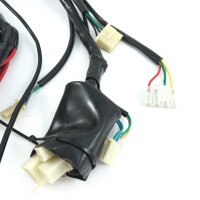 Kabelbaum Komplett für 50QT-E Retro Cruiser