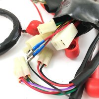 Kabelbaum Komplett für 50QT-E Retro Cruiser