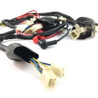 Kabelbaum Komplett für 50QT-E Retro Cruiser