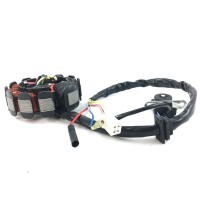LICHTMASCHINE Stator 11 Spulen für BAOTIAN BENZHOU FLEX TECH REX YY125 QM125 BT125 GY6 4TAKT