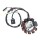 LICHTMASCHINE Stator 11 Spulen für BAOTIAN BENZHOU FLEX TECH REX YY125 QM125 BT125 GY6 4TAKT