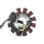 LICHTMASCHINE Stator 11 Spulen für BAOTIAN BENZHOU FLEX TECH REX YY125 QM125 BT125 GY6 4TAKT