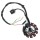 LICHTMASCHINE Stator 11 Spulen für BAOTIAN BENZHOU FLEX TECH REX YY125 QM125 BT125 GY6 4TAKT