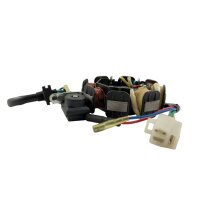 Stator Lichtmaschine kompl. 50cc AC 139QMA 3+2Kabel
