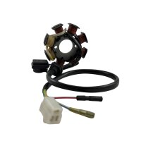 Stator Lichtmaschine kompl. 50cc AC 139QMA 3+2Kabel