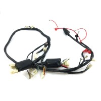 Kabelbaum komplett für GY6 4-Takt China Roller...