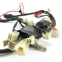 Kabelbaum komplett für GY6 4-Takt China Roller (Universal)