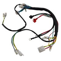 Kabelbaum komplett für GY6 4-Takt China Quad Roller (Universal 1)