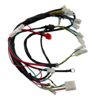 Kabelbaum komplett für GY6 4-Takt China Quad Roller (Universal 1)