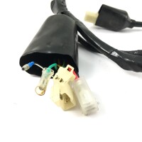 Kabelbaum komplett für GY6 4-Takt China Roller (Universal 1)