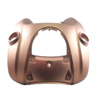 Teil 1 - VERKLEIDUNG große Front in MATT CAPPOCCINO BRAUN (Easy Cruiser)