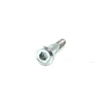 Schraube für Bremsscheibe M8x55mm