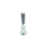 Schraube für Bremsscheibe M8x55mm