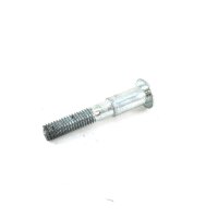 Schraube für Bremsscheibe M8x55mm