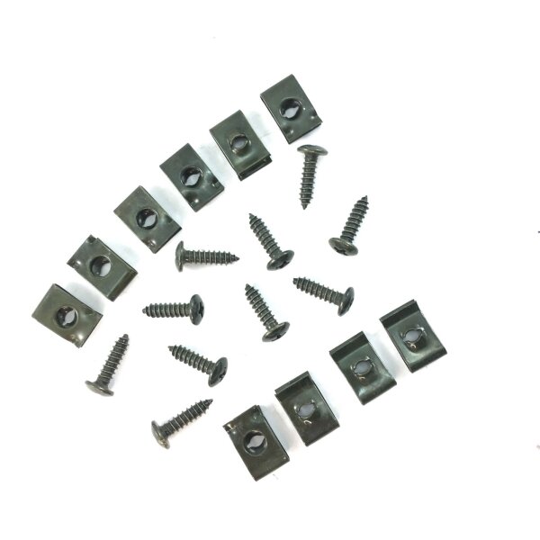 10 BLECHMUTTER & SCHRAUBEN - VERKLEIDUNG SCHRAUBEN für BAOTIAN JINLUN YIYING BENZHOU CHINA ROLLER