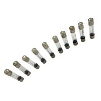 15 - Glas Sicherung 30A (10 Stück)