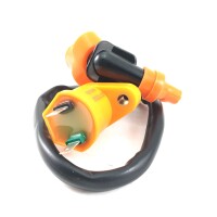 Lichtmaschine Stator für PEUGEOT stehend AC LC 2-TAKT + BR7HS & Racing Zündspule