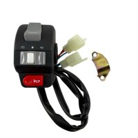 Schaltereinheit links komplett für Kymco DJ, Agility, Super8