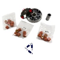 Racing / High Performance Variomatik-Kupplungs Kit (50cc) 6/7/8gr.