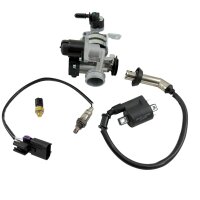 EINSPRITZANLAGE komplett für 139QMB 50ccm EFI Euro4...