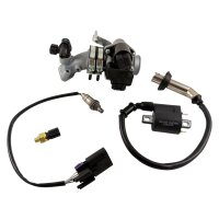 EINSPRITZANLAGE komplett für 139QMB 50ccm EFI Euro4 / Euro5, GT Union GT3